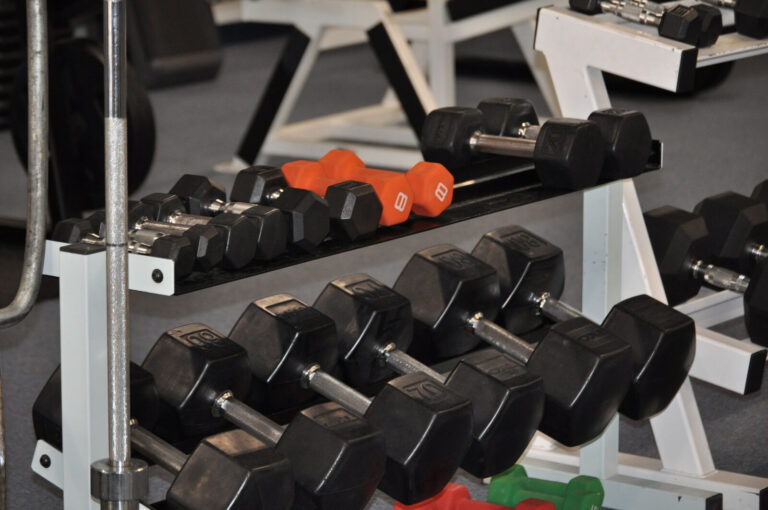 The dumbbell rack